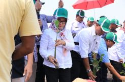 PT AP II Tanam 4.000 Mangrove di Pesisir Pantai Kohod