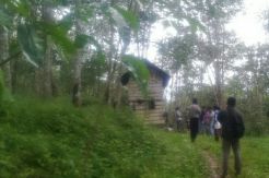 Warga Heboh, Penyadap Karet Ditemukan Tewas di Kebunnya