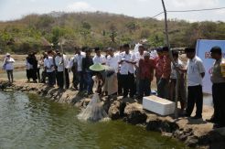 Program Kawasan Vanamei STP di Lombok Tengah  Diberi Apresiasi