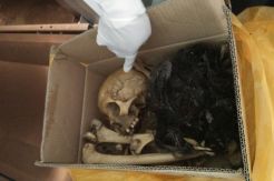 Kerangka Bidan Cantik Dini Prasetyani Diambil Keluarga