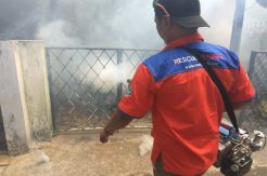 Rescue Perindo Tangsel Fogging 215 Rumah di Ciputat