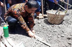 Mentan Tanam Perdana Tebu di Bombana