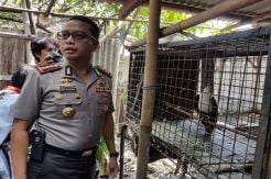 Polrestro Bekasi Amankan Satwa Dilindungi dari Rumah Warga