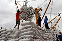 Lelang Gula Untungkan Industri Kecil Menengah?