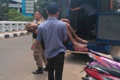 Tak Bisa Bangun, Sudinsos Jaksel Bawa PMKS ke Rumah Sakit