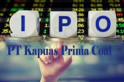 Saham Perdana ZINC Dibuka...