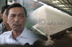 Luhut Pastikan RI Tak Lagi Impor Garam di 2020