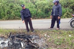 Warga Bakar Motor Remaja yang Mencuri Kulit Manis di Kebun Mendagri