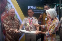 Indonesia Ekspor Perdana Salak Pondoh ke Selandia Baru