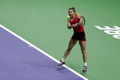 Tahun Ini Menjadi Musim yang Menyenangkan buat Halep
