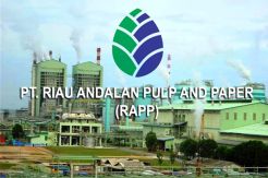 Rumahkan 4.600 Pekerja, RAPP Minta Kepastian Investasi ke Pemerintah