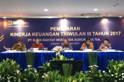 BRI Agro Bukukan Laba Bersih Rp102 Miliar