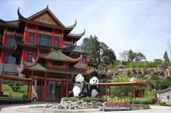 Taman Safari Hadirkan Istana Panda Indonesia