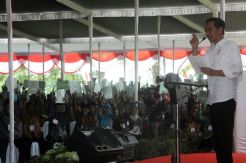 Presiden Serahkan Izin Pemanfaatan Lahan Hutan di 3 Kabupaten