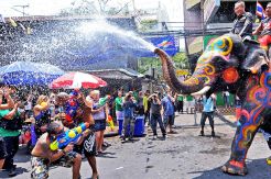 8 Festival Musim Semi...