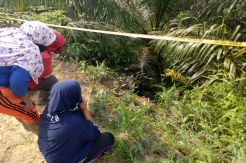 Hilang 10 Hari, Ibu dan Balitanya Ditemukan Tewas Mengenaskan