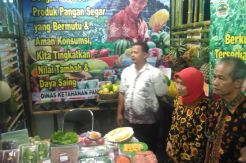 Badan Ketahanan Pangan Usulkan Kenaikan Dana Kawasan Rumah Pangan
