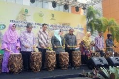 Kementan Minta Seluruh Daerah Rampungkan Perda Lahan Pertanian