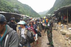 Sandera Papua Diangkut...