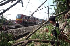 KCI Klaim Pohon Tumbang Teratasi, Perjalanan KRL Kembali Normal