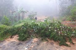 Longsor Terjang Karangtengah, Warga Desa Purwoharjo Terisolasi