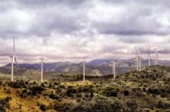 Hingga 2025, Pemerintah Targetkan Kapasitas PLTB Capai 1,8 GW