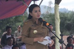 Karolin Sebut Tak Punya Saham di Perusahaan Sawit