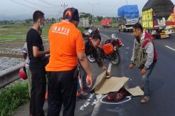 Potongan Tubuh Manusia Bertato Ditemukan Tercecer di Jalan Raya