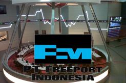 Bos BEI Terus Teriak Desak Freeport untuk IPO
