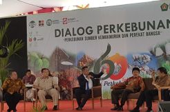 Industri Perkebunan Penopang Ekonomi Nasional