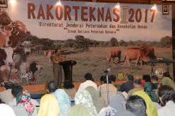 Swasembada Daging, Pemprov Jatim Inseminasi 1,5 Juta Sapi Betina