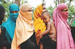 Cerita Wanita Muslim...