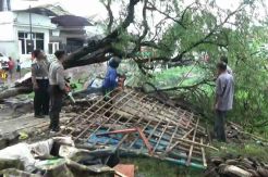 Puting Beliung Terjang Probolinggo, Warung Makanan dan Belasan Rumah Rusak