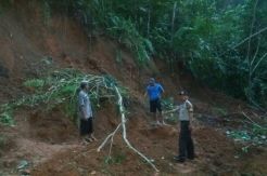 Tiga Orang Tertimbun Longsor, Satu Tewas