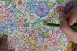 Atasi Stres dengan Seni Mewarnai