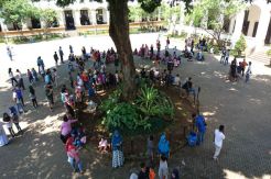 Libur Natal, Lawang...
