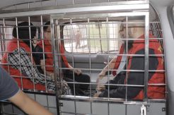 4 Tersangka Korupsi Dijebloskan ke Rutan Tanjungpinang