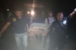Karyawati Perusahaan Sawit Tewas Diterkam Harimau