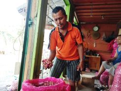 Sempat Anjlok, Harga Bawang Merah di Semarang Kini Mulai Stabil