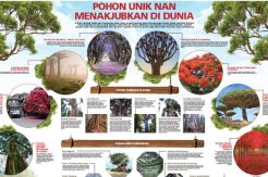 Pohon Unik Nan Menakjubkan...
