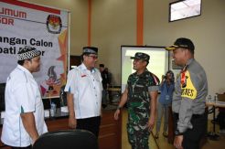 Datangi KPU, Anak Rhoma...