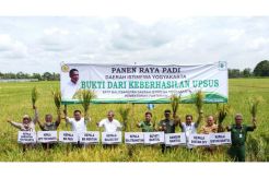 Panen Raya di DIY, Kepala Balitbangtan: Produktivitas Cukup Tinggi