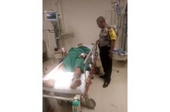 Terlibat Tawuran di...