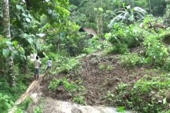 Diguyur Hujan Deras, Tebing Setinggi 20 Meter di Kuningan Longsor