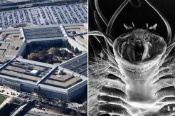 Ahli Sebut Pentagon Markas Makhluk Berusia Melebihi Dinosaurus