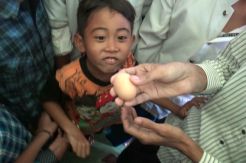 Telur Berlafal Allah Bikin Heboh Warga Probolinggo