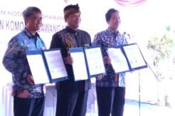 BI Kembangkan Sentra Agribisnis Bawang Merah