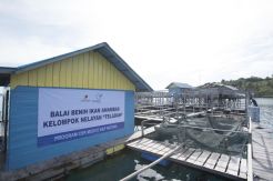 Medco Optimalkan Potensi SDA dan Masyarakat Lokal di Anambas