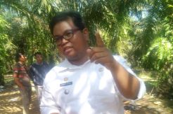 Eksekusi Ribuan Hektare Kebun Sawit Diduga Salah Alamat
