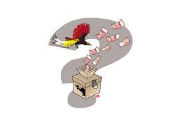Otonomi Khusus Papua...